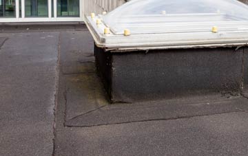 disadvantages of Townfield flat roofs