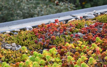 the cost of Townfield green roof installation
