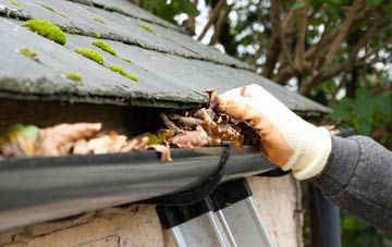 gutter cleaning Townfield, County Durham