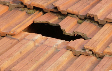 roof repair Townfield, County Durham