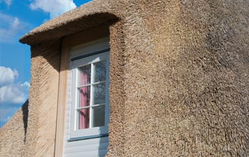 Townfield thatch roof disadvantages